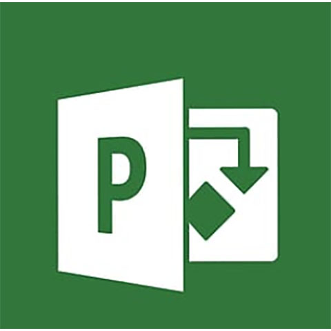 download microsoft project pro 2019